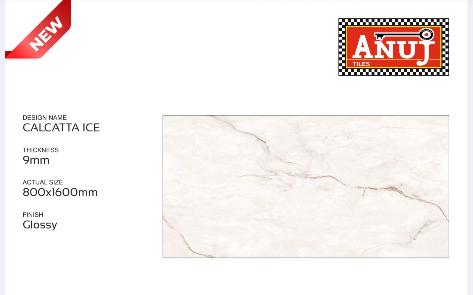 ANUJ 800X1600  SLAB - CALCATTA  ICE
